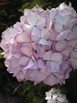 Image031.jpg