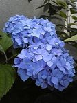 Image040.jpg